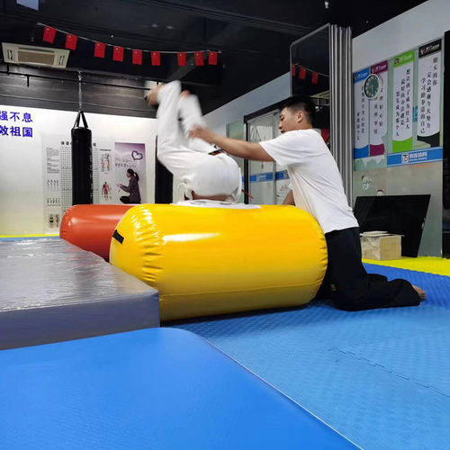 后手翻辅助器后空翻训练神器充气滚筒圆柱腰桶