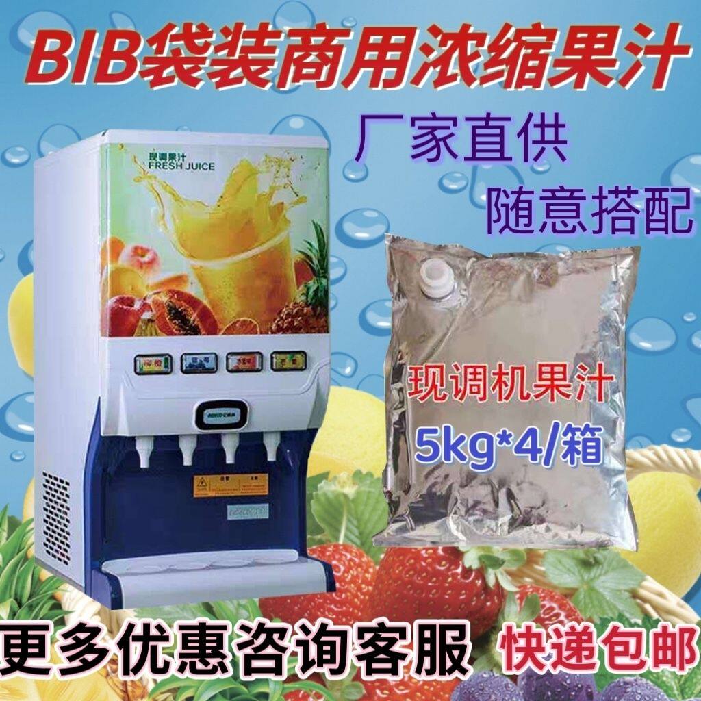 BIB10倍浓缩果汁果茶5升袋装原浆包现调饮料商用柳橙蓝莓包邮