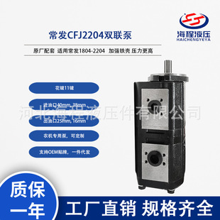 适用常发1804 原厂配套 2204 常发CFJ2204双联泵 厂家直销