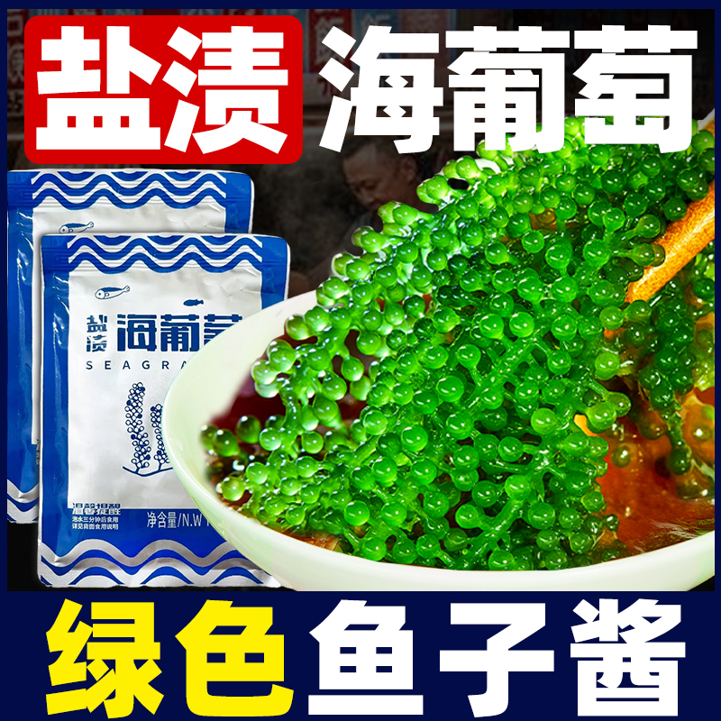 新鲜海葡萄及时盐渍植物