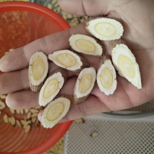 野生官儿黄芪纯天然小片山西恒山浑源道地无硫中药材正北芪正品