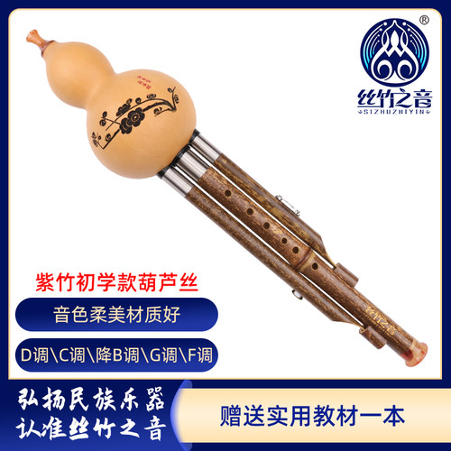 丝乐初学成人儿童紫竹七孔葫芦丝