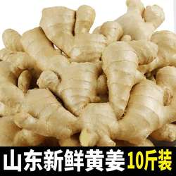 山东安丘10斤大姜生姜新鲜黄姜老姜母风干月子姜整块非小黄姜包邮