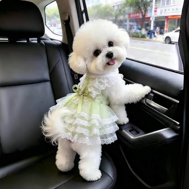 狗狗裙子公主裙春夏薄款薄荷曼波婚纱蕾丝猫咪衣服小型犬宠物厂家