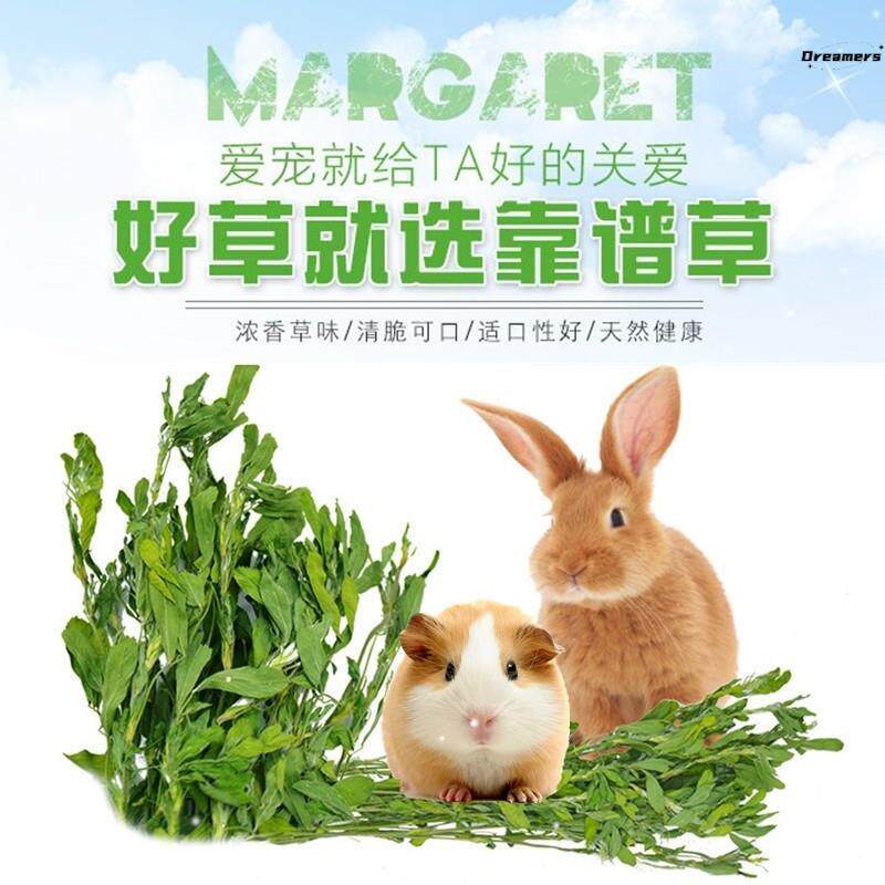 新宠物兔子紫花苜蓿草荷兰猪粮食