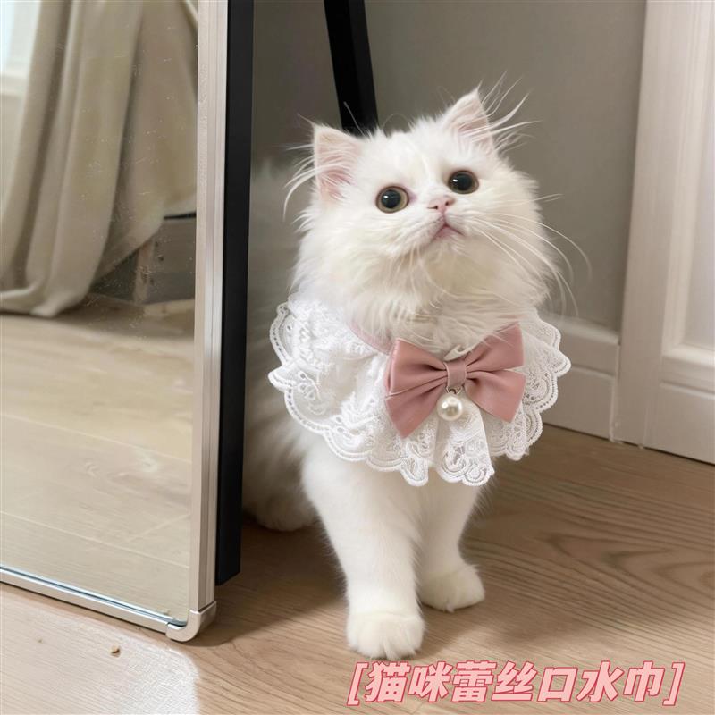 猫咪围脖宠物口水巾小配饰小猫围巾围兜衣服装饰防舔脖饰公厂家