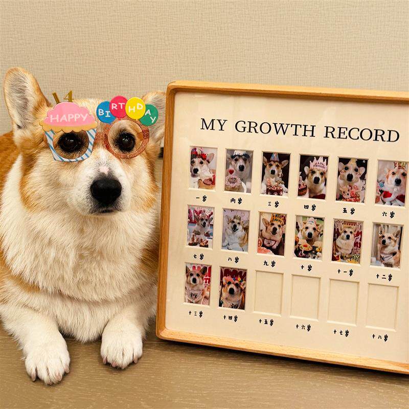 狗狗生日相框照片纪念证件照摆台猫咪小宠物相片留念成长记厂家