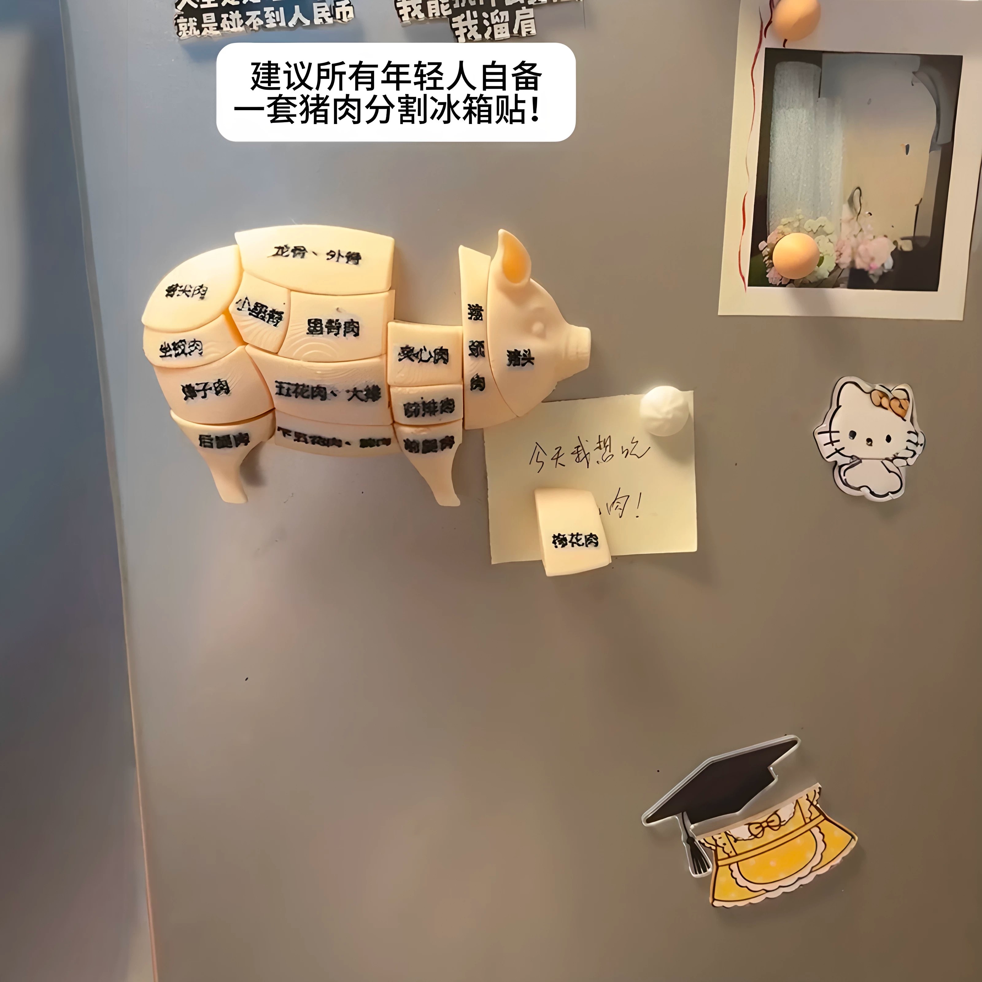 猪肉分割磁吸冰箱贴新手买肉