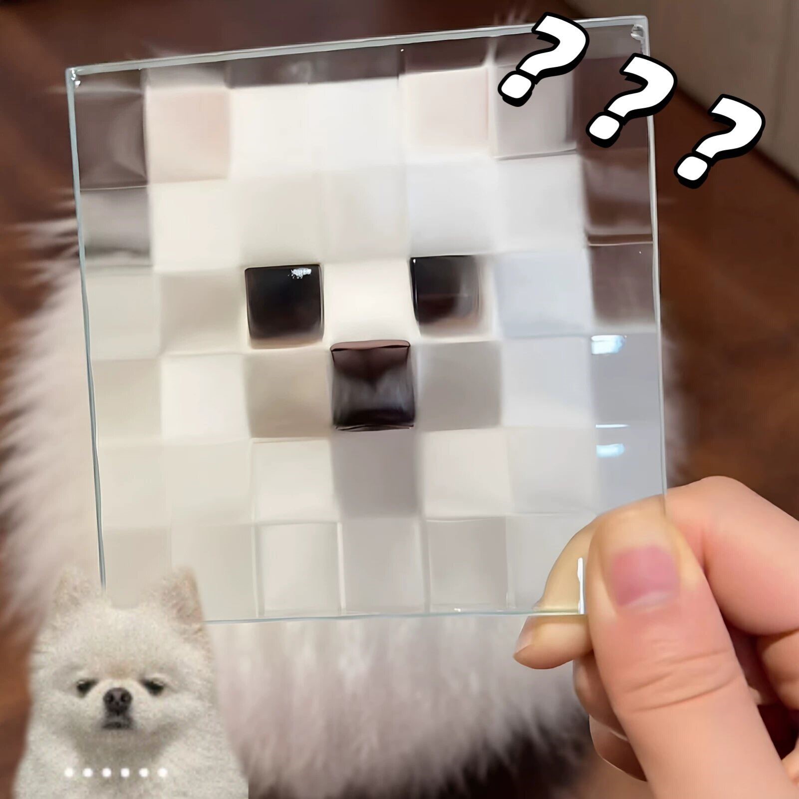 【像素风小狗】马赛克玻璃像素方块透明板小猫狗狗立方体拍照道具