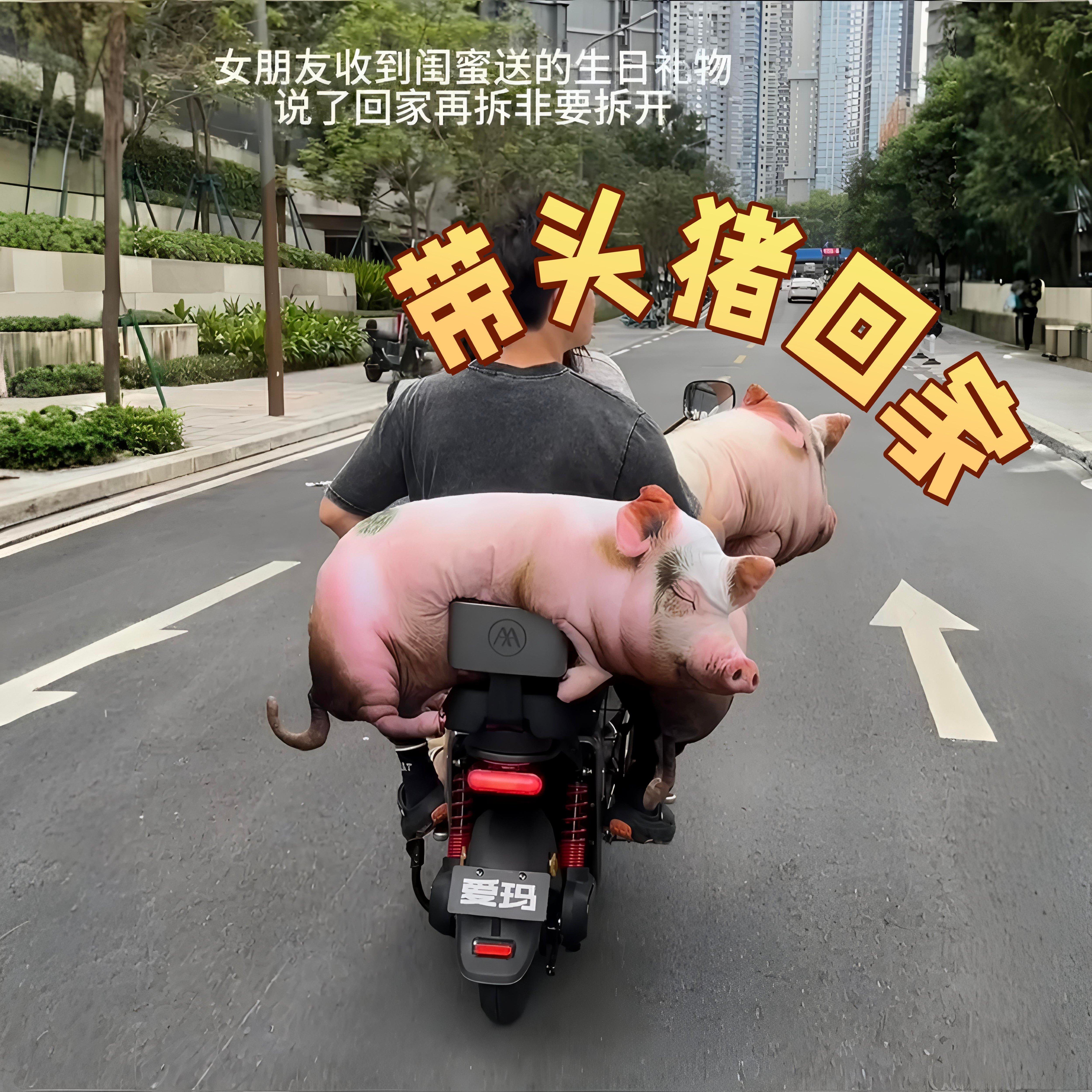 超大仿真猪猪抱枕陪睡礼物