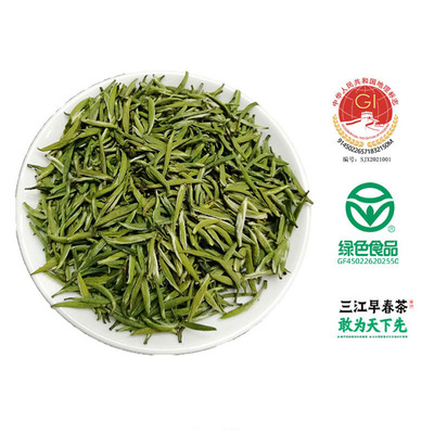 2024三江早春茶侗美仙池特级绿茶