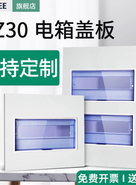 pz30配电箱盖板定制家庭开关箱面板强电箱盖家用电表箱空开箱盖子