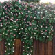 饰 仿真玫瑰花藤条空调管道栅栏缠绕假花艺塑料藤条婚庆壁挂吊顶装