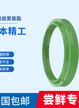 进口日本华尔卡VALQUA防尘密封圈DHS11.2 14 16 18 20 22.4 23.5