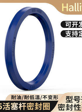 Hallite进口油封密封圈605-35 36 38 40 42 43 45 50 53 55X10 11