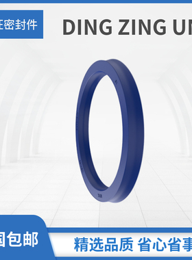 DING ZING DZ油封密封圈UN45 48 50 53 54 55*60 62 65 70*10 12