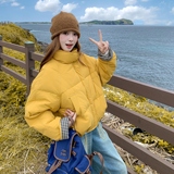 【有现货】【主推款】时尚格子拼接50羽绒服女短款895-P250-K378，女装羽绒服，浙宝176（原073）