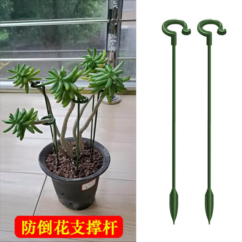 蝴蝶兰多肉小花架支撑杆简易兰花君子兰小型迷你固定防倒伏护叶架,鲜花速递/花卉仿真/绿植园艺,花架,淘宝优惠券,粉丝福利购,淘宝优惠卷