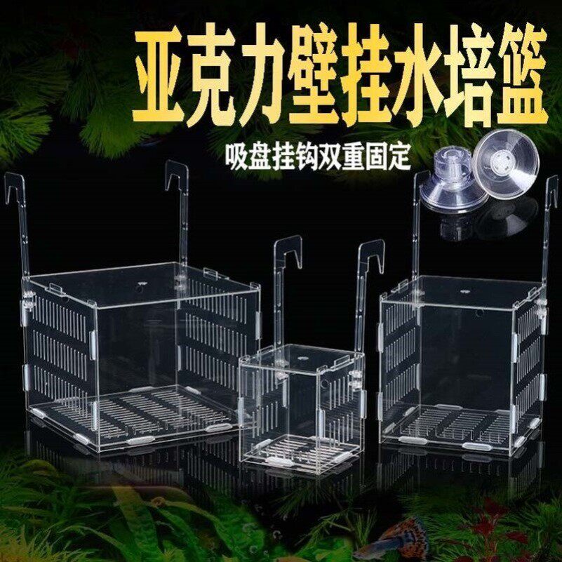 鱼缸水培植物固定架壁挂水培器皿定植篮压克力花盆定植蓝加深水草