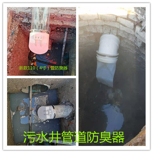 75管110管下水道防臭盖农村化粪池排污管防臭阀污水井防臭防虫鼠