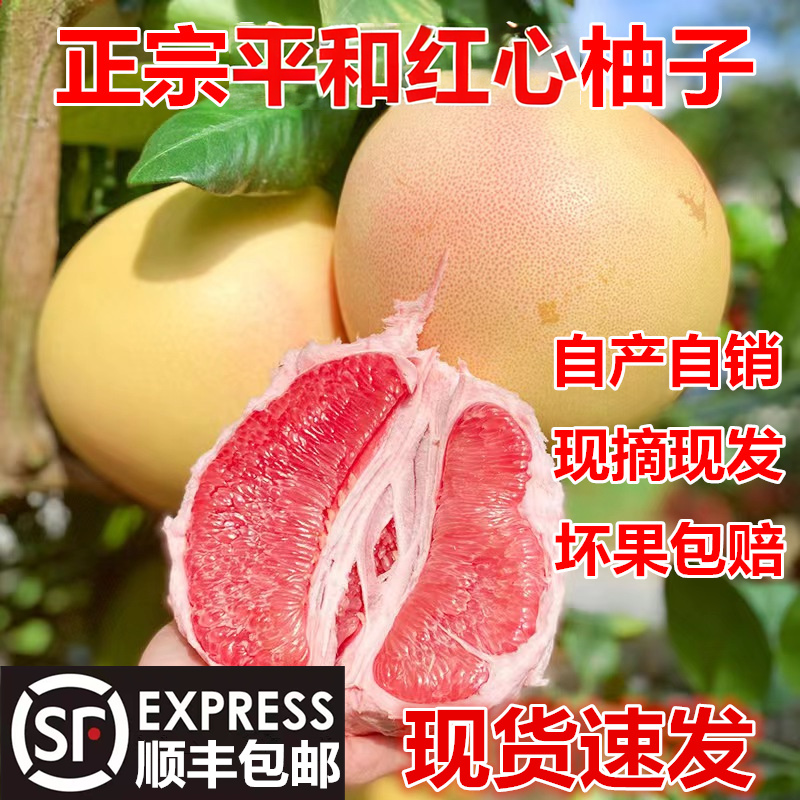 顺丰福建平和红心柚子新鲜当季孕妇水果红蜜柚大红心红肉柚子整箱
