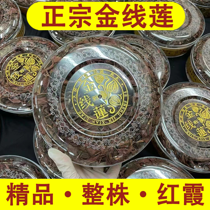 福建林下仿野生正宗土楼金线莲整株干品礼盒养生茶养肝茶100g新货