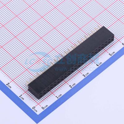 排母 CS-1166SDIG-2X22(H8.5) 插件,P=2.54mm 2x22P 双排 原装