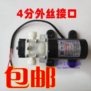 吸L 自水泵泵小水泵流抽水泵12V电泵直家用4分接口 微型 包邮