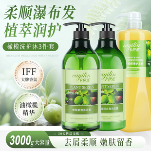 卡伊莲橄榄滋润去屑洗发露护发素洗护套装蓬松柔顺洗发水官方正品