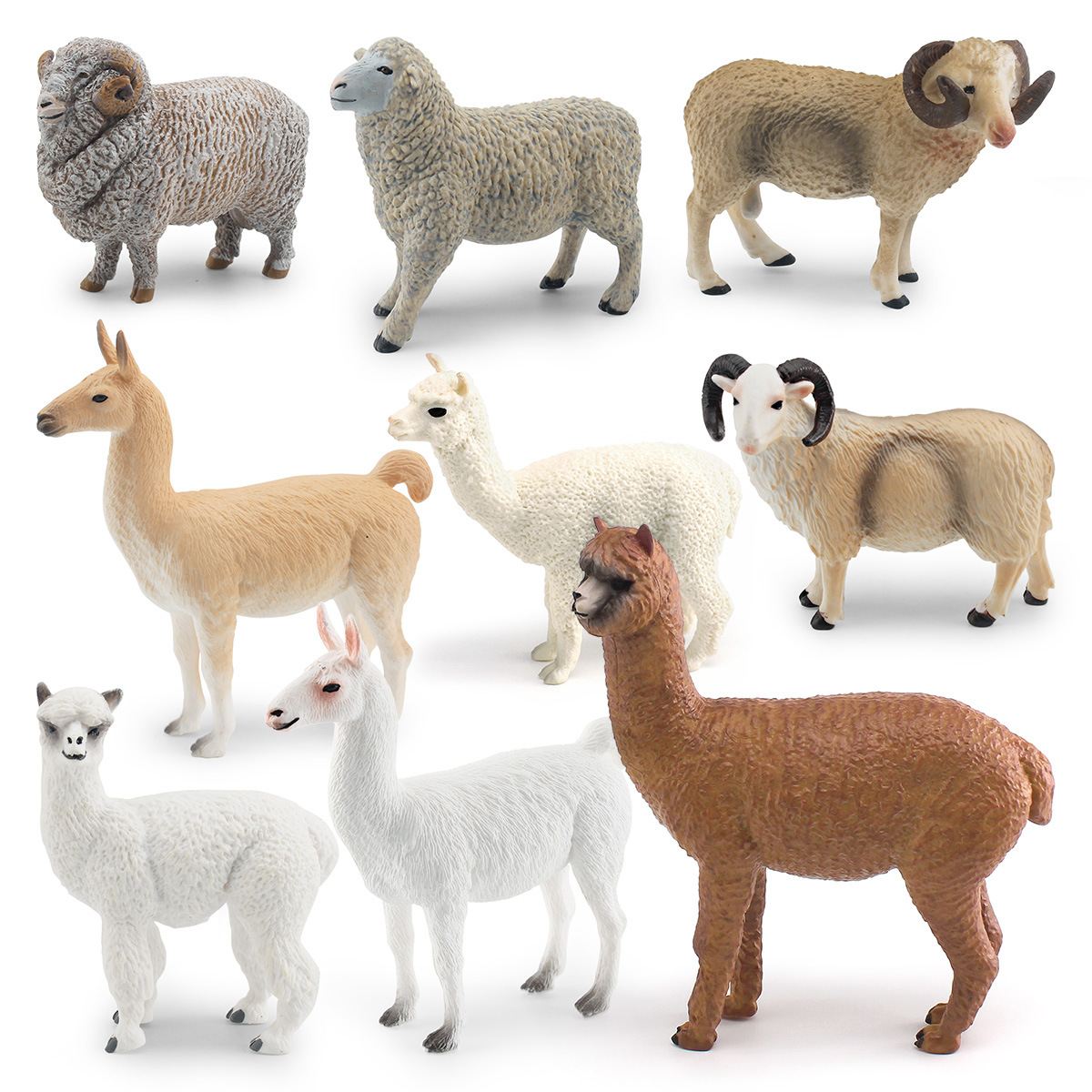 仿真动物羊驼绵羊模型绵羊盘角山羊草泥马沙盘装饰摆件