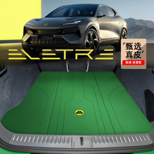 专车专用，版型精准，环保无味，高端定制。