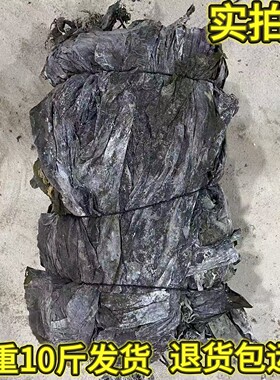 霞浦海带干货特级特厚饭店食堂