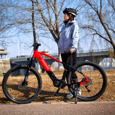 XINGQIDONG中置电机助力山地车