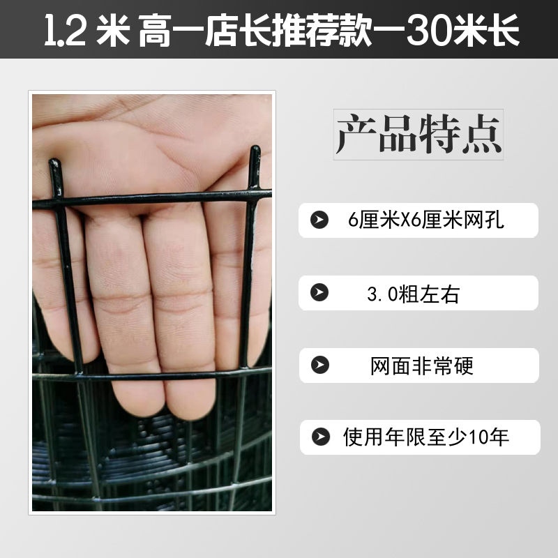 铁丝网围栏户外防爬养殖鸡拦网家用防护荷兰网格护栏围墙庭院绿色