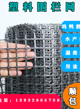 养殖网围栏网塑料网格防护网加厚小孔户外养鸡鸭鹅专用围网漏粪垫