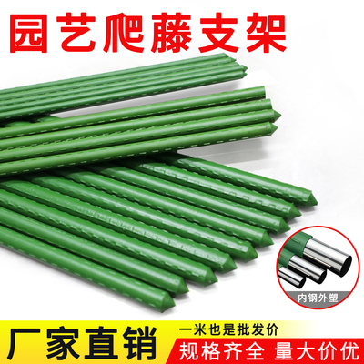 爬藤架月季黄瓜种菜架子包塑钢管阳台庭院植物攀爬葡萄架支撑杆子
