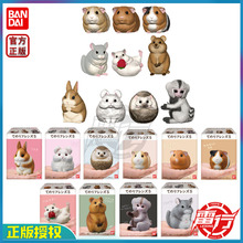 [雷行]万代盒蛋掌上小萌友5迷你动物摆件仓鼠兔子刺猬龙猫金丝熊