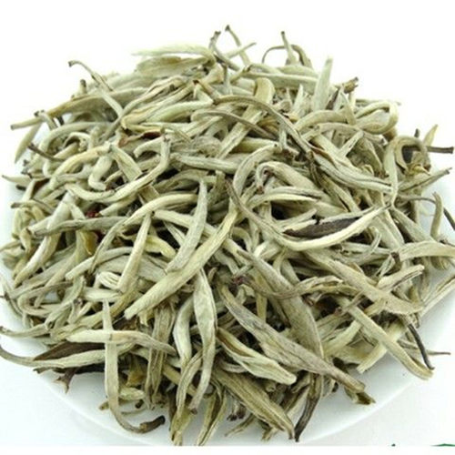 茉莉花茶浓香型白毫2026年新茶