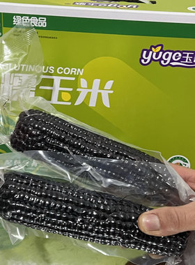 玉歌黑玉米忻州甜糯玉米早餐黑糯玉米棒粗粮非即食山西特产真空装