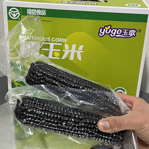 玉歌黑玉米忻州甜糯玉米早餐黑糯玉米棒粗粮非即食山西特产真空装