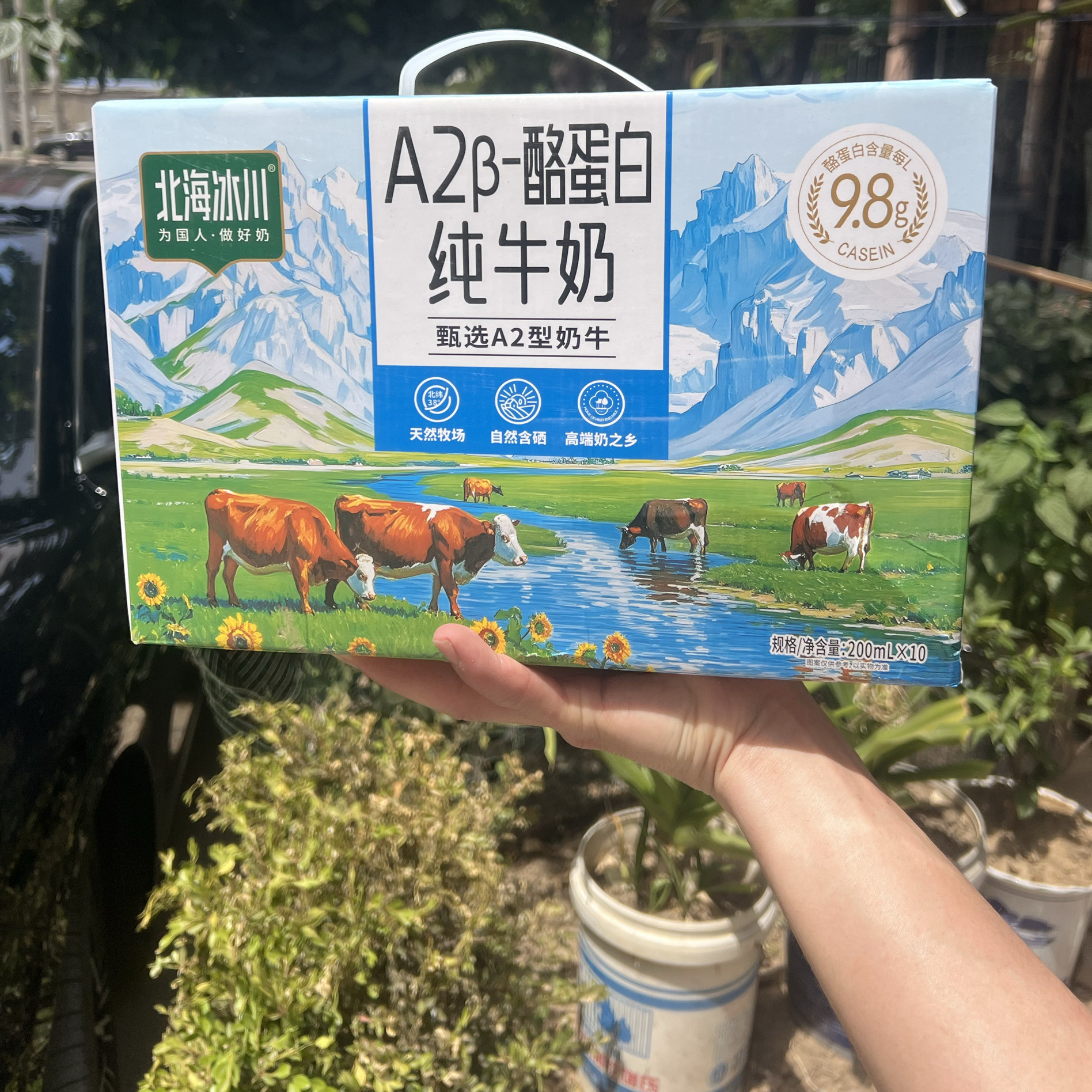 北海冰川牧场A2高原清真纯牛奶200ml10盒牛奶学生早餐整箱批发
