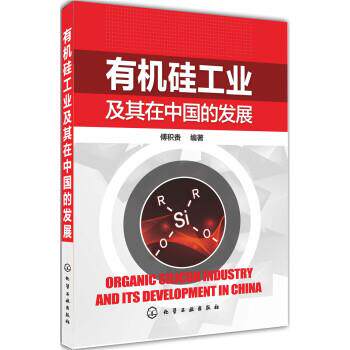【正版书】 有机硅工业及在中国的发展 傅积赉 著 化学工业出版社