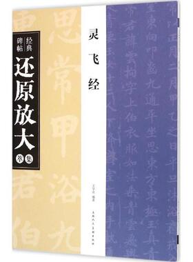 【正版书】 灵飞经---经典碑帖还原放大集萃 王学良 著 上海人民美术出版社