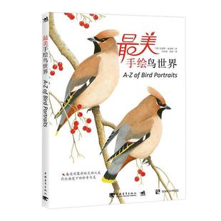 【正版书】 手绘鸟世界 (英)安德鲁福克纳　著,冯岩松,苏湉　译 中国青年出版社
