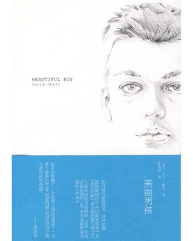 【正版书】美丽男孩 [美]谢夫（Shef