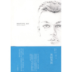【正版书】美丽男孩 [美]谢夫（Shef