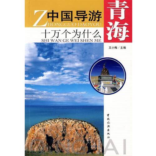 【正版书】 中国导游十万个为什么----青海 王小梅 中国旅游出版社