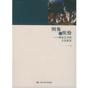 【正版书】 图像缤纷 丁宁 著 中国人民大学出版社