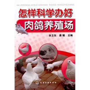 【正版书】 怎样科学办好肉鸽养殖场 孙卫东,唐耀 著 化学工业出版社