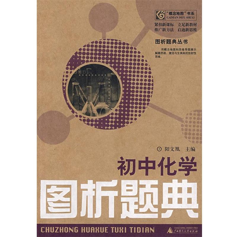 【正版】概念地图书系 图析题黄丛书 初中化学图析题典 阳文凰